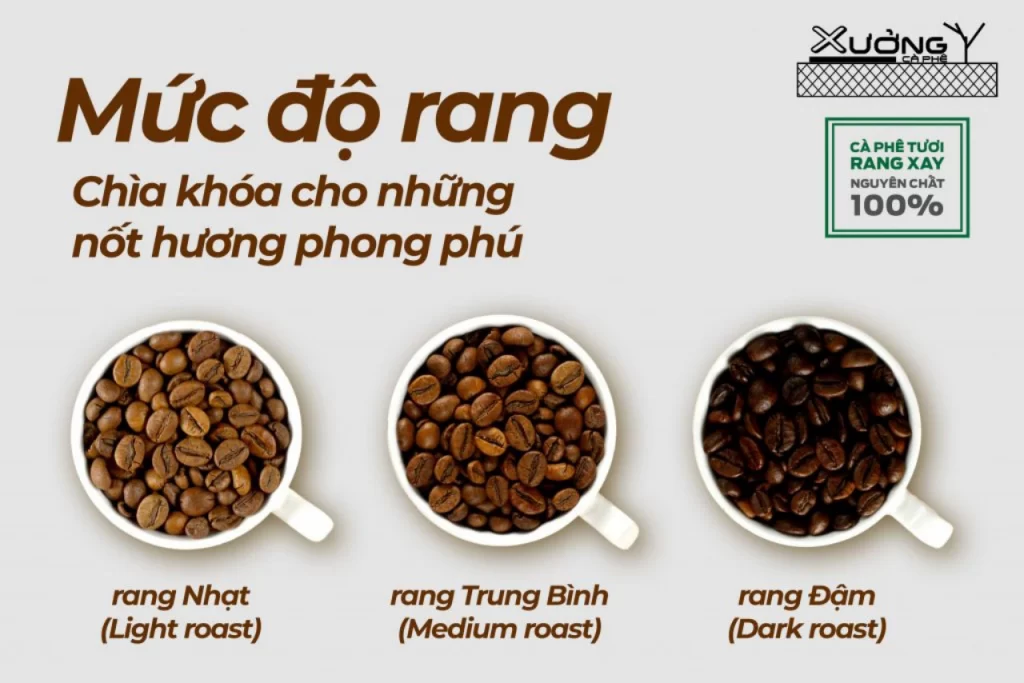 Khám Phá Thế Giới Hương Vị - Phân Biệt Hạt Cafe Theo Cấp Độ Rang