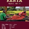 KENYA